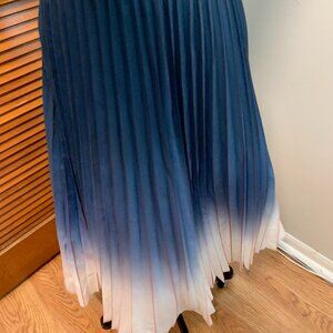 Kourt Accordion Skirt NWT Medium
